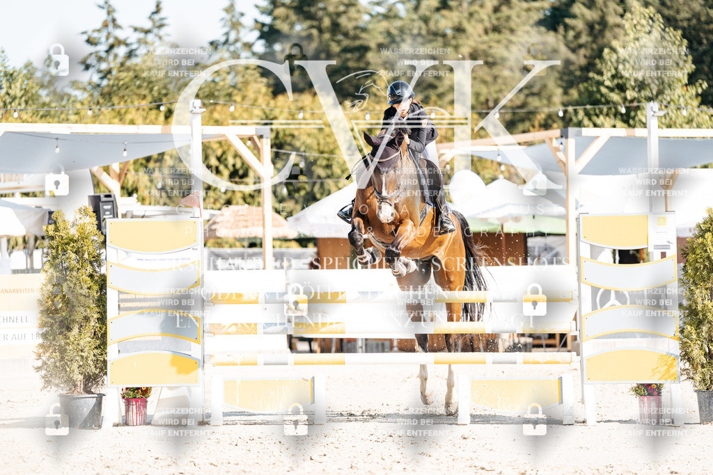 CK901941 | Turnierfotografie Pferdefotografie Trier Rheinland-Pfalz Pferdesport Reitsport Tierfotografie Sportfotografie Pferdevideo Pferdevideografie Equestrianvideography equestrianphotography  - Realisiert mit Pictrs.com