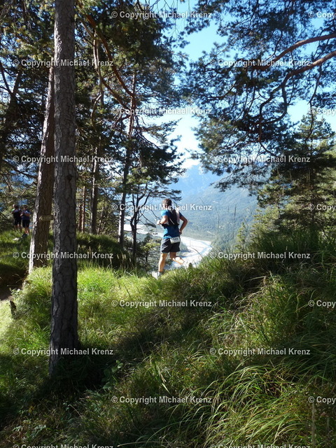 P1010948 | Michael Krenz