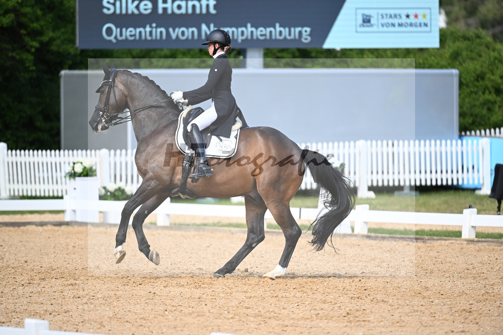 Hanft_Quentin von Nymphenburg_26260459 | hf-fotografie - Realisiert mit Pictrs.com