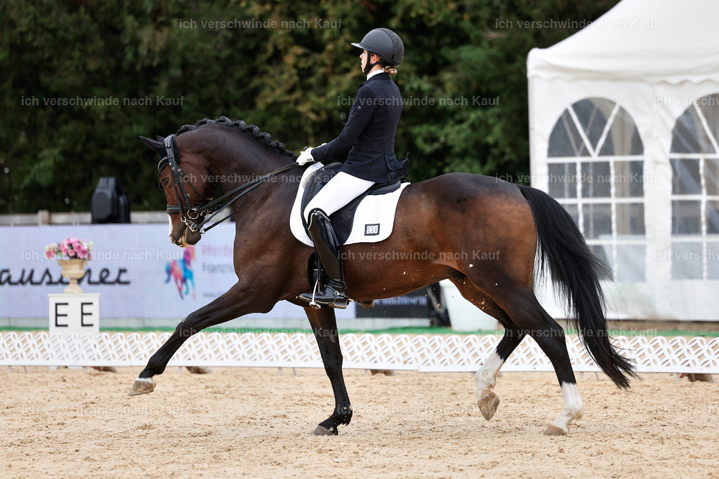 3-224-Dressur M_-StoibPH-2538 | working equitationturnier fotograf videograf stoibphotography marixx film working equitation deutschland reitsport turnierfotografie eventfotografie equestrian events