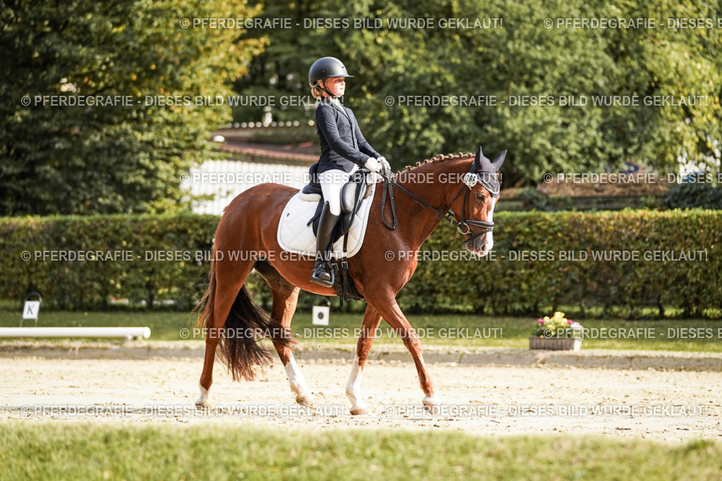 DSC06014 | Pferdegrafie