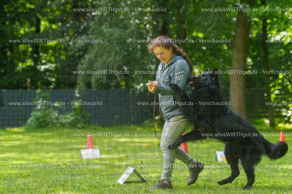 @allesWIRTHgut_Tierfotografie - www.allesWIRTHgut.de - 7R505662 | Professionelle Tierfotografie in Mönchengladbach von Daniel Wirth (allesWIRTHgut). Liebevolle & natürliche Bilder von Hunden & Katzen für unvergessliche Erinnerungen.
