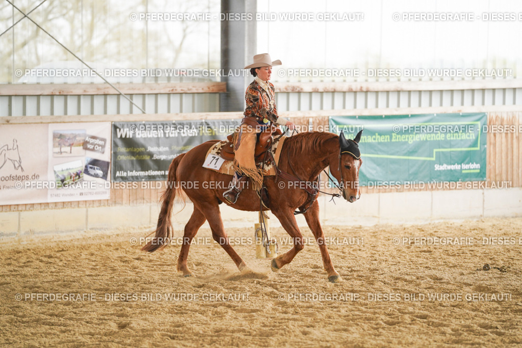 DSC04877 | Pferdegrafie