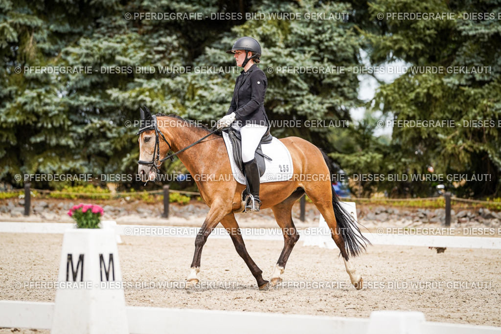 DSC04377 | Pferdegrafie