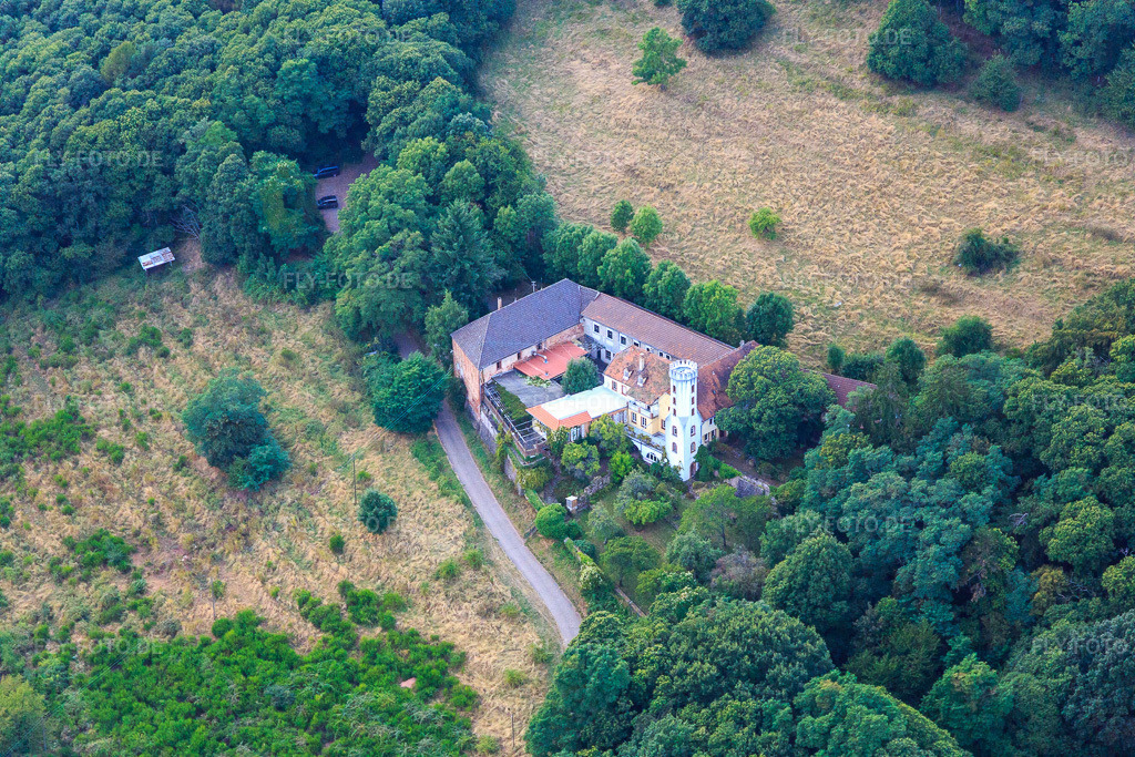 Luftbild: Slevogthof Neukastel in Leinsweiler im Bundesland Rheinland-Pfalz in Deutschland. Foto: IMG_094592.jpg vom 02.09.2016 durch Werner Riehm/FLY-FOTO.de