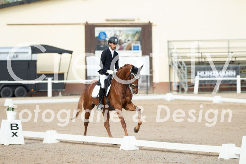 IMG_0585 | Creatify Fotografie