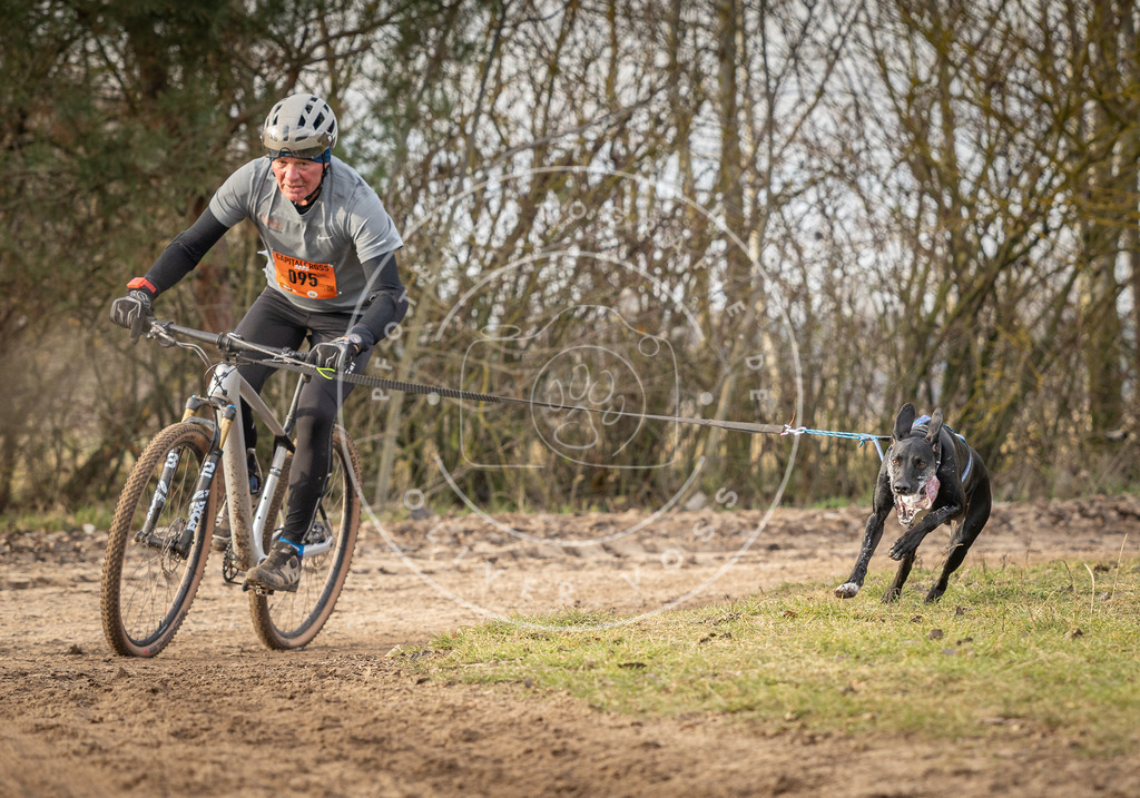 Pfotenfotografie_DV3A7727 | Hundefotografie, Tierfotograf, Pfotenfotografie, Fotoshooting Hund, Hunde Portrait, Hundesport, Hundeportraits, Heideshooting, Hunde, Sportfotograf, Hundefotograf, Turnierhundsport, THS,  - Realisiert mit Pictrs.com