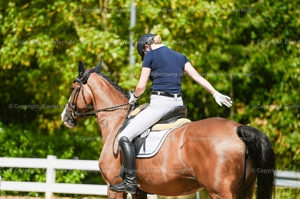 20230715_02_Dressurreiterprüfung Kl.L_0323 | equistock