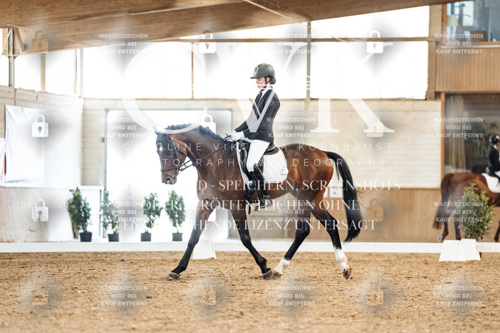 CK908549 | Turnierfotografie Pferdefotografie Trier Rheinland-Pfalz Pferdesport Reitsport Tierfotografie Sportfotografie Pferdevideo Pferdevideografie Equestrianvideography equestrianphotography  - Realisiert mit Pictrs.com