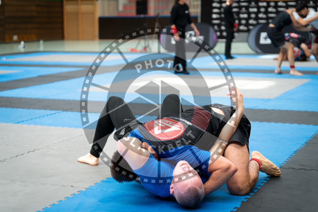 20240908PBB5204 | Athletes compete during the AJP Hamburg competition on September 8, 2024 in Hamburg, northern Germany.