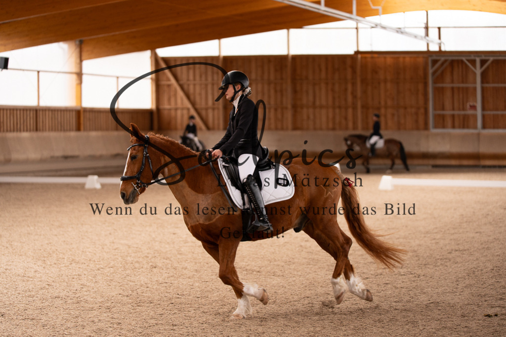 A7506936 | Turnier/Reitfotograf