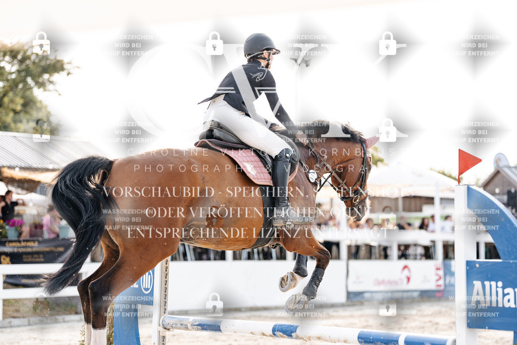 CK906792 | Turnierfotografie Pferdefotografie Trier Rheinland-Pfalz Pferdesport Reitsport Tierfotografie Sportfotografie Pferdevideo Pferdevideografie Equestrianvideography equestrianphotography  - Realisiert mit Pictrs.com