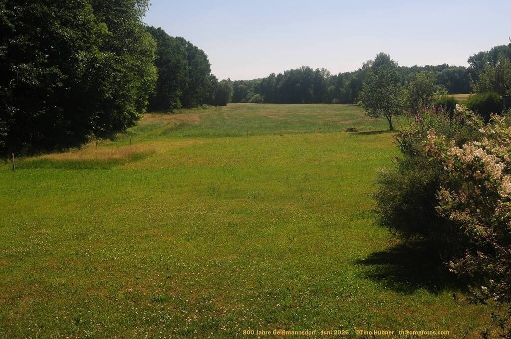Geißmannsdorf-2026-Ortsbilder-679 | Geißmannsdorf bei Bischofswerda im Sommer 2026. Ein fotografischer Streifzug durch das Dorf Geißmannsdorf, mit Gebäuden, Straßen, Strohpuppen und geschmückten Vorgärten und Grundstücken anlässlich der 800-Jahr-Feier von Geißmannsdorf im Juni 2026 - Realisiert mit Pictrs.com