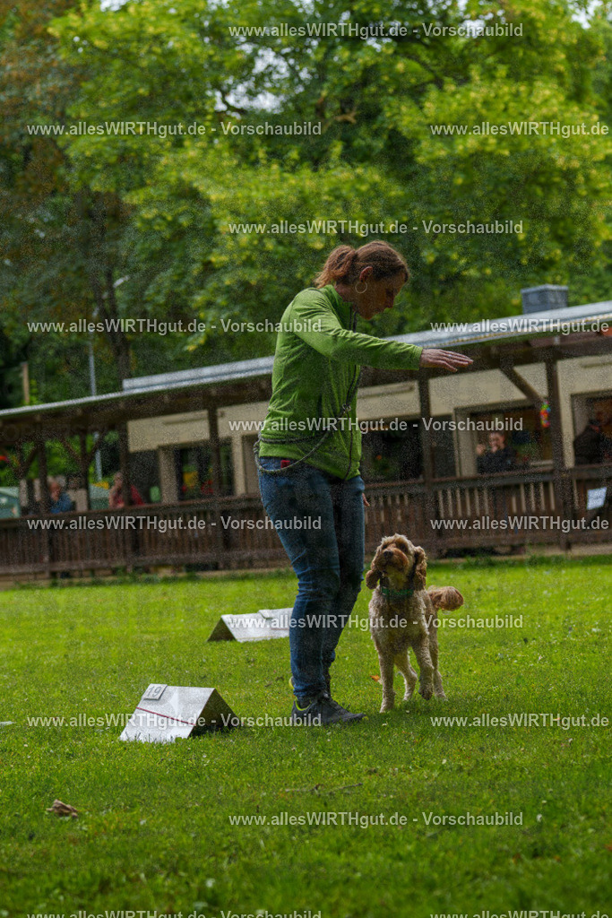 @allesWIRTHgut_Tierfotografie - www.allesWIRTHgut.de - 092409-7R507057 | Professionelle Tierfotografie in Mönchengladbach von Daniel Wirth (allesWIRTHgut). Liebevolle & natürliche Bilder von Hunden & Katzen für unvergessliche Erinnerungen.