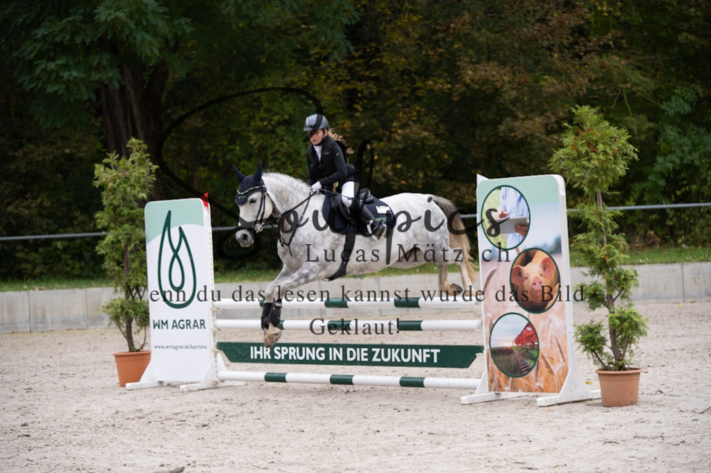 A7V07857 | Pferdefotograf