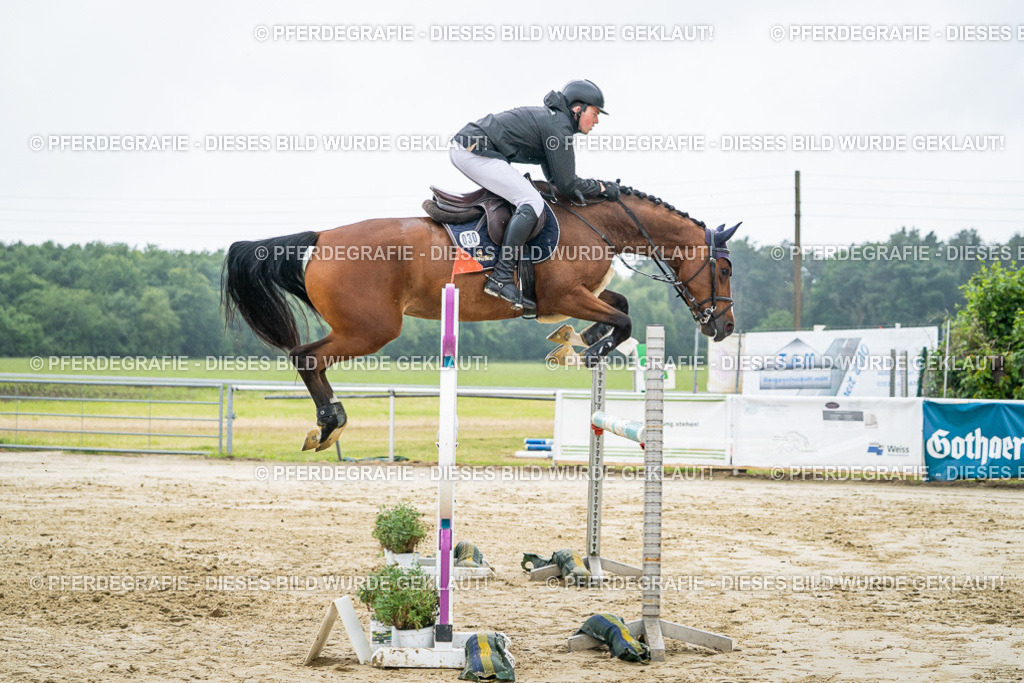 DSC02140 | Pferdegrafie