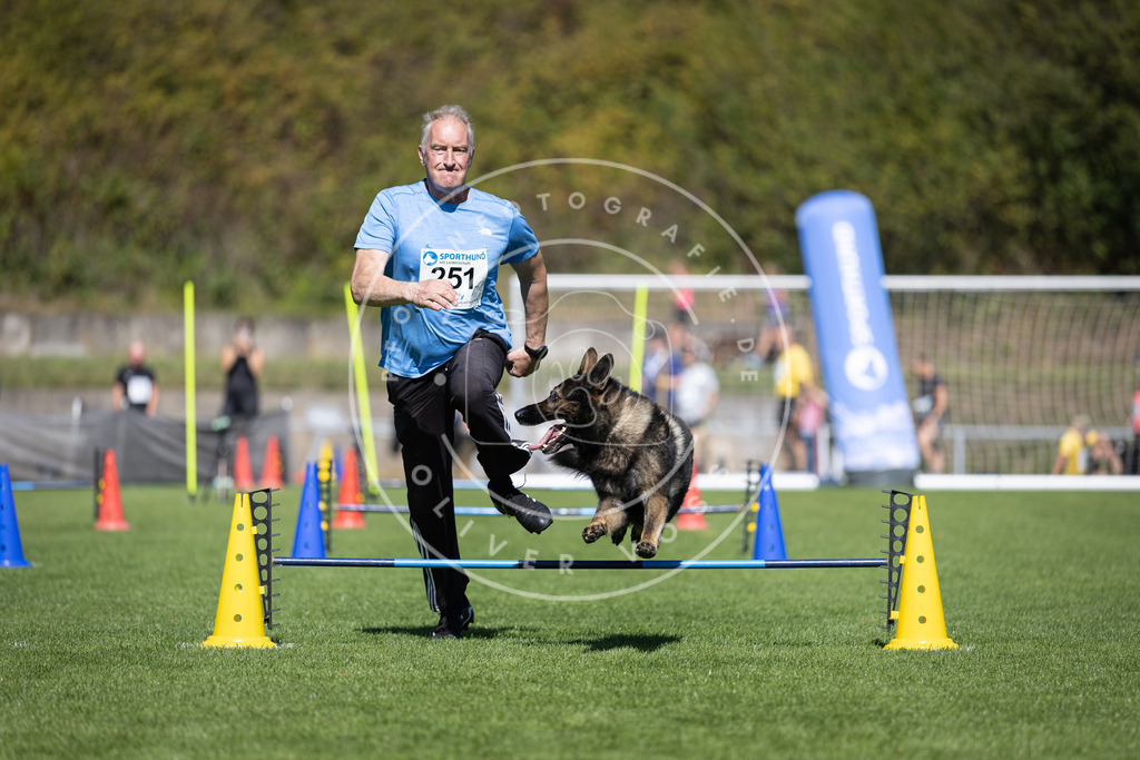 Pfotenfotografie_DV3A6237 | Hundefotografie, Tierfotograf, Pfotenfotografie, Fotoshooting Hund, Hunde Portrait, Hundesport, Hundeportraits, Heideshooting, Hunde, Sportfotograf, Hundefotograf, Turnierhundsport, THS,  - Realisiert mit Pictrs.com