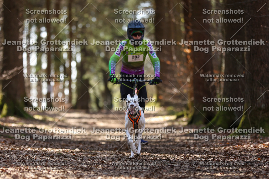 Dog Paparazzi - VCC26-1350 | Dog Paparazzi Jeanette Grottendiek Fotografie & Videografie - Realisiert mit Pictrs.com