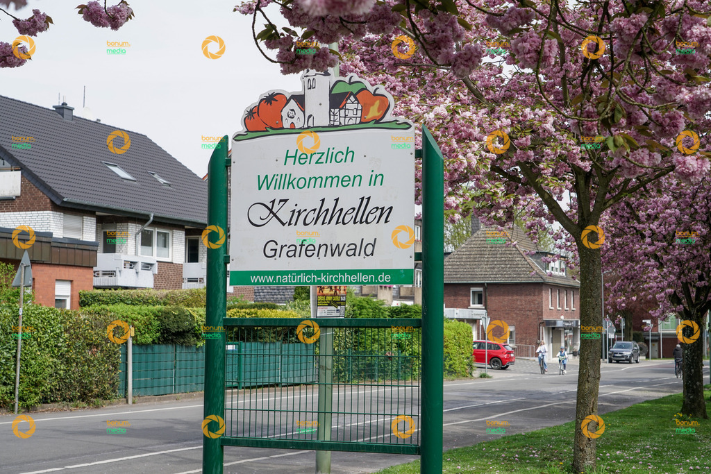 260417-1306_AB33-H-DB_02972 | Kirschblüte Grafenwald Stock - Realisiert mit Pictrs.com