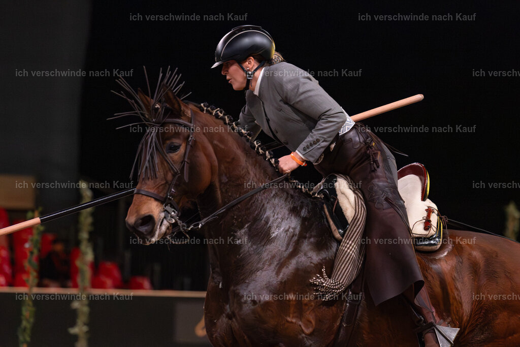 JoseraCup-191 | working equitationturnier fotograf videograf stoibphotography marixx film working equitation deutschland reitsport turnierfotografie eventfotografie equestrian events