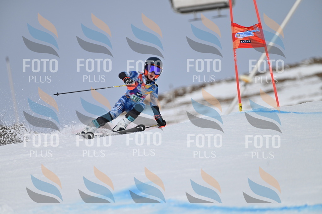 BGV_3774 | holidayphoto