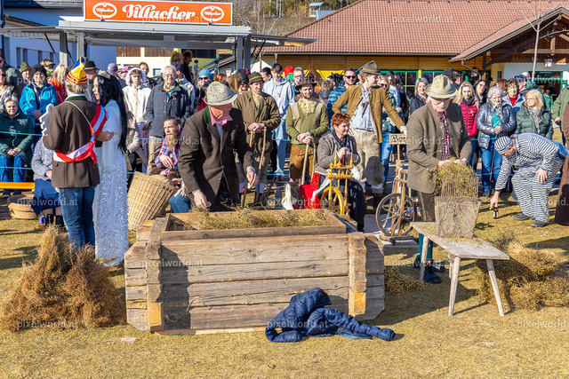 Bärentreiben in Steuerberg | Bildershop von pixelworld.at - Realisiert mit Pictrs.com