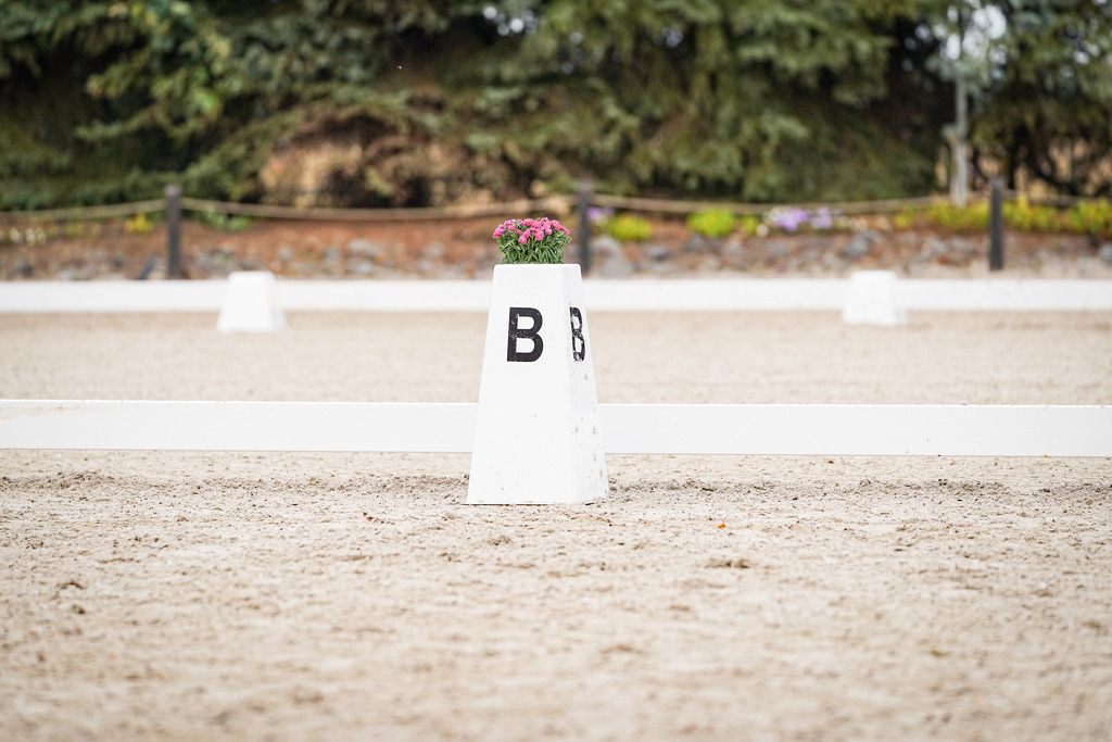 DSC08194 | Pferdegrafie