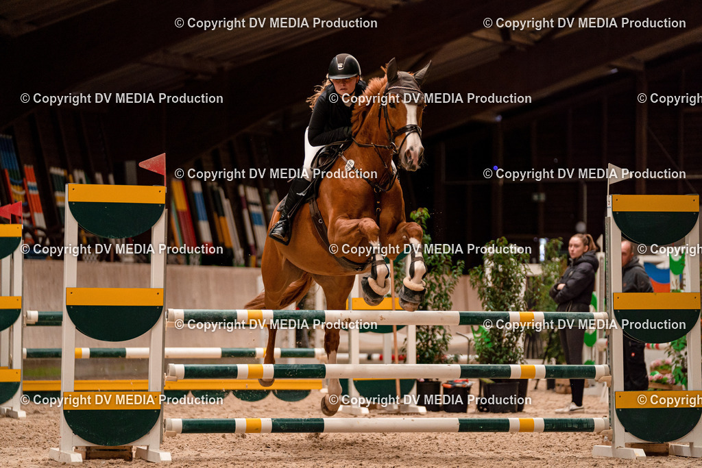 Springen Tag 2-401 | dv-media-shop - Realisiert mit Pictrs.com