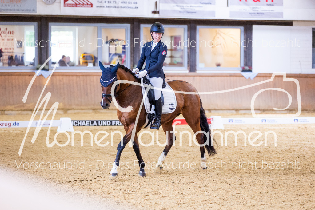 Sth-A-Dre-2St-232 | MomenTaufnahmen Pferdesportfotos