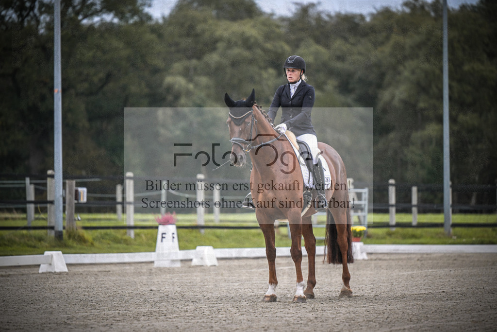 DOS_0019 | Entdecke hochwertige Reitturnierfotos von Foto Oger. Professionell, emotional und authentisch – jetzt Lieblingsmomente im Shop bestellen.Deutschlandweite Turnierfotografie. - Realisiert mit Pictrs.com