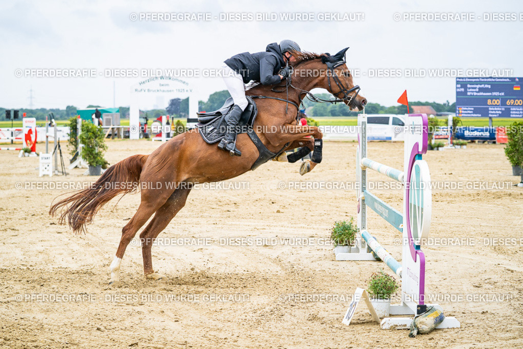 DSC09447 | Pferdegrafie