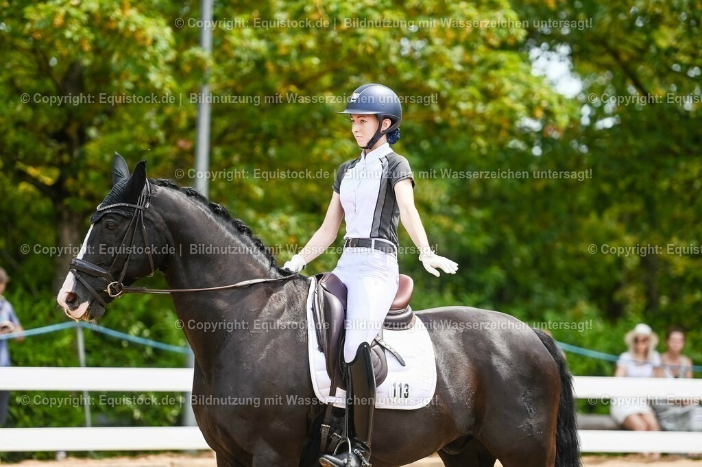 20230715_05_Dressurprüfung Kl.A++_0181 | equistock