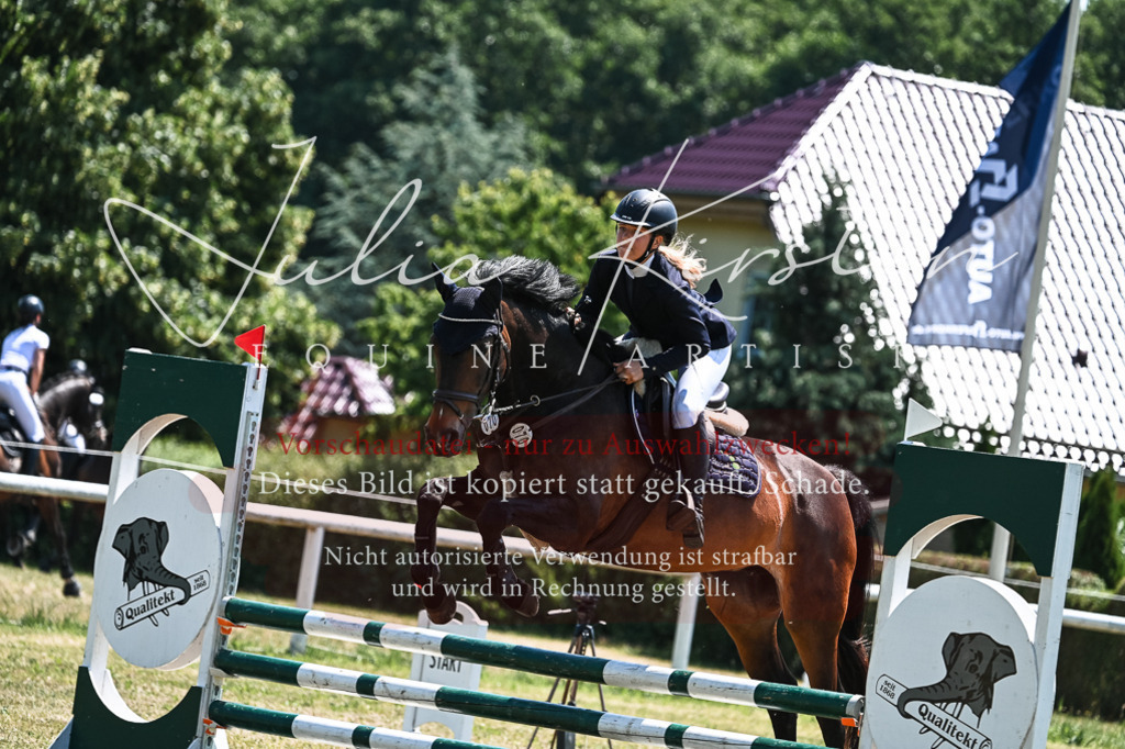 DSC_0104 | Pferde- und Turnierfotografie in Westsachsen. Pferdeportraits, Auftragszeichnungen und intuitive Kunst.