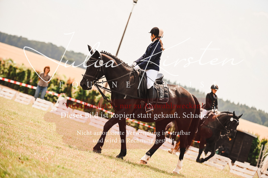 DSC_6311 | Pferde- und Turnierfotografie in Westsachsen. Pferdeportraits, Auftragszeichnungen und intuitive Kunst.