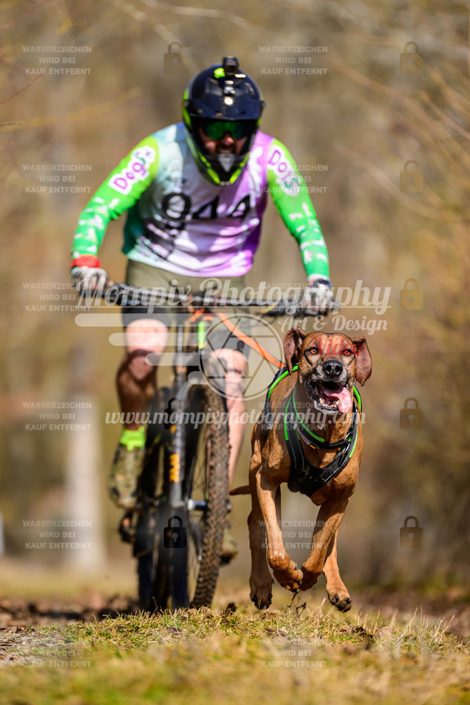MompixPhotography_Schwabentrail2025_SO_Bike-38 | PayLife