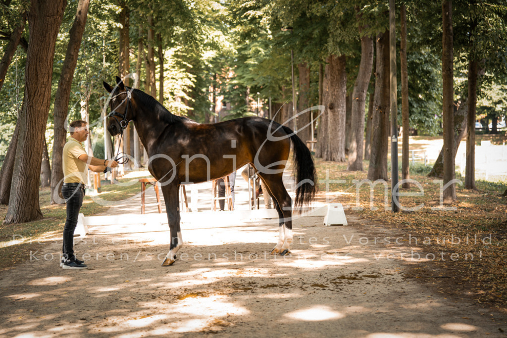 FrPfM00223 | Leoni Ertmer Photography - Realisiert mit Pictrs.com