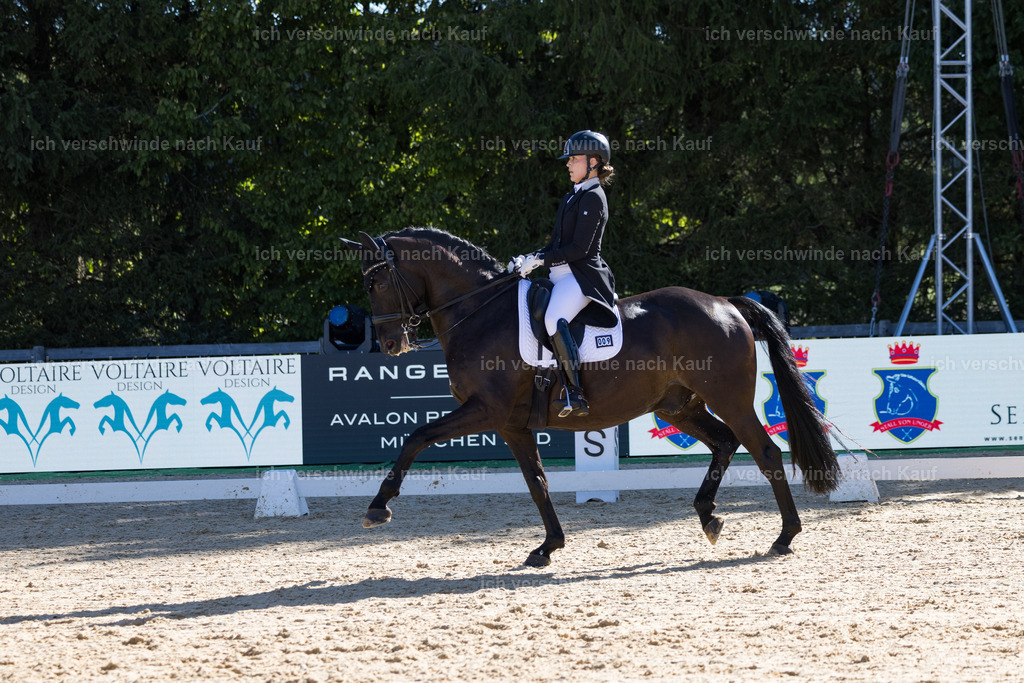 FHC2026_P07_9_17441 | working equitationturnier fotograf videograf stoibphotography marixx film working equitation deutschland reitsport turnierfotografie eventfotografie equestrian events