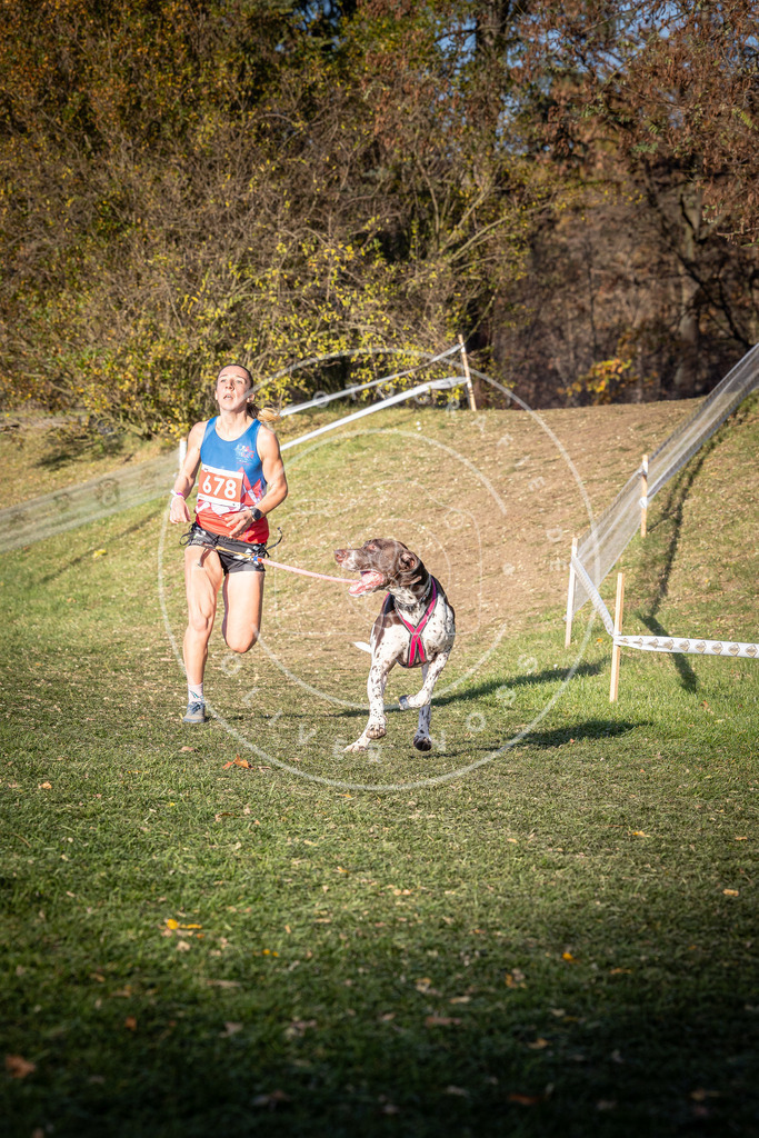 CaniXpix_0L8A9248 | Hundefotografie, Tierfotograf, Pfotenfotografie, Fotoshooting Hund, Hunde Portrait, Hundesport, Hundeportraits, Heideshooting, Hunde, Sportfotograf, Hundefotograf, Turnierhundsport, THS,  - Realisiert mit Pictrs.com