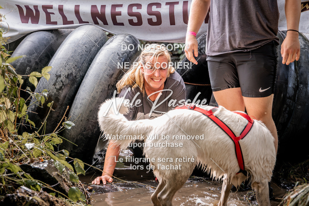 nelerasche_Hunsrück2026_Sa1400-1500_279 | nelerasche