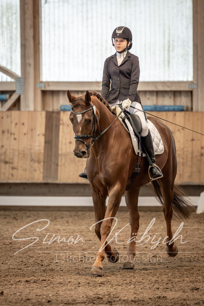 20251011-_3LI5767 | Tierfotografie Pferde, Hunde, Katzen, Haustiere.
Turnierfotografie Reitturniere, Reiten, Springreiten, Dressur in Hanau, dem Main-Kinzig-Kreis und dem Rhein-Main- Gebiet um Frankfurt