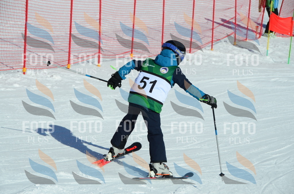 C5219 | holidayphoto