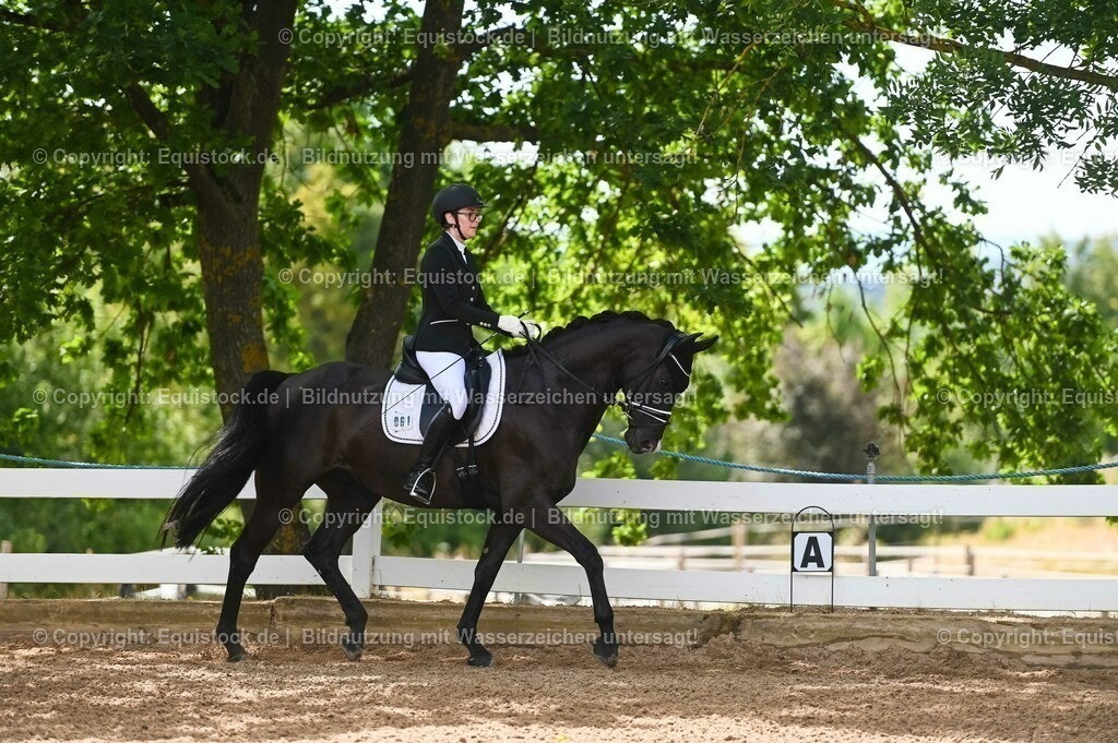 20230715_07_Dressurpferdeprfg. Kl.L_0178 | equistock