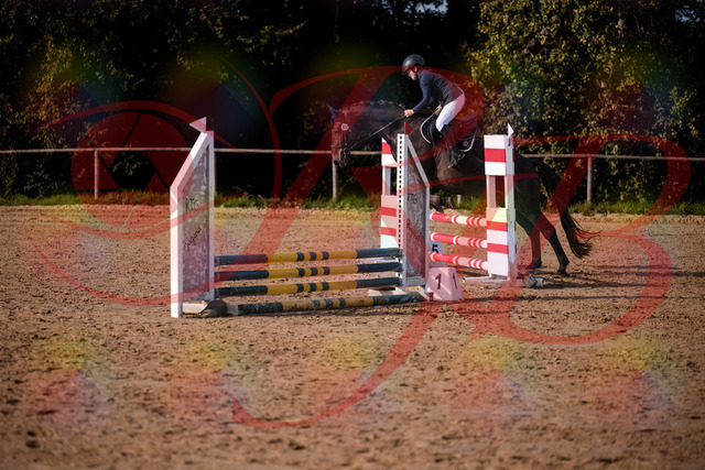 2026_10_03_Siefer-Hof_160134_Z81_82462312 | Professionelle Reitsport-, Turnier- und Eventfotografie von Robert Broda. Galerien mit ausgewählten und bearbeiteten Bildern direkt online ansehen und bestellen.