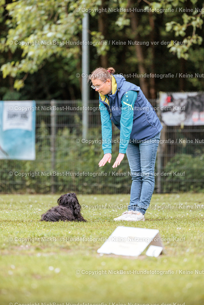 RO-Blumenthal-2026-Nickbest-Hundefotografie-0876 | Dein Hund! Dein Moment! Deine Erinnerungen! Hundefotografie in Bremen Blumenthal. Ich fange die besonderen Momente deines Vierbeiners ein – ob Indoor mit Blitzanlage oder in der freien Natur. Sicher dir dein Moment und dein Termin für eure Erinnerungen.