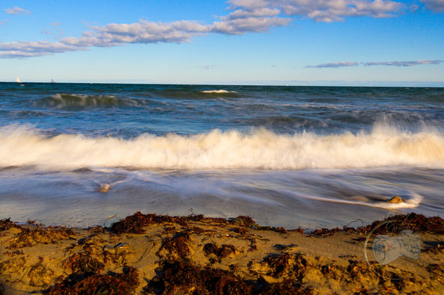 _DSC1398 | Shop für Prints Landschaftsfotografie Sächsische Schweiz Naturfotografie in Thüringen Fotos vom Findlingspark Nochten Kloster Sankt Marienstern Bilder Festung Königstein PanoramaRhododendronpark Kromlau FotogalerSchleswig-Holstein Küstenlandschaften