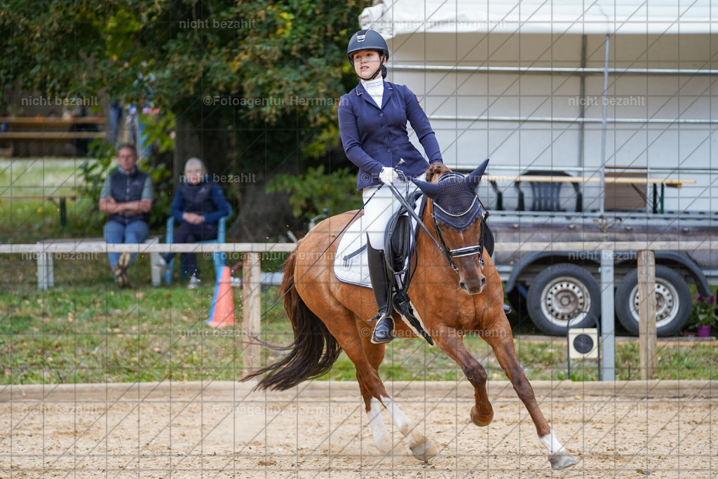 20231007-SN_00797 | Professionelle Turnier- und Reitsportfotografie - mit dem Finger am Auslöser. Pferdebilder aus dem Reitsport von den Turnierfotografen  Bayern , Pferdefotograf Bayern, Pferdeshooting Turnierbilder, Hochzeitsfotograf, Eventfotograf, Hochzeitsbilder