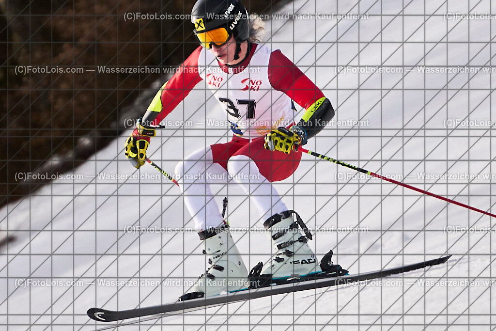 ALP8342_Herrn-FIS-GS-II_Lackenhof-WY_Gstrein Niklas | Internationaler FIS GiantSlalom der Herrn auf der Distelpiste in Lackenhof am Di 11. März 2025.  Österreich, LSV-NÖ, Sportunion Waidhofen/Ybbs (2035).