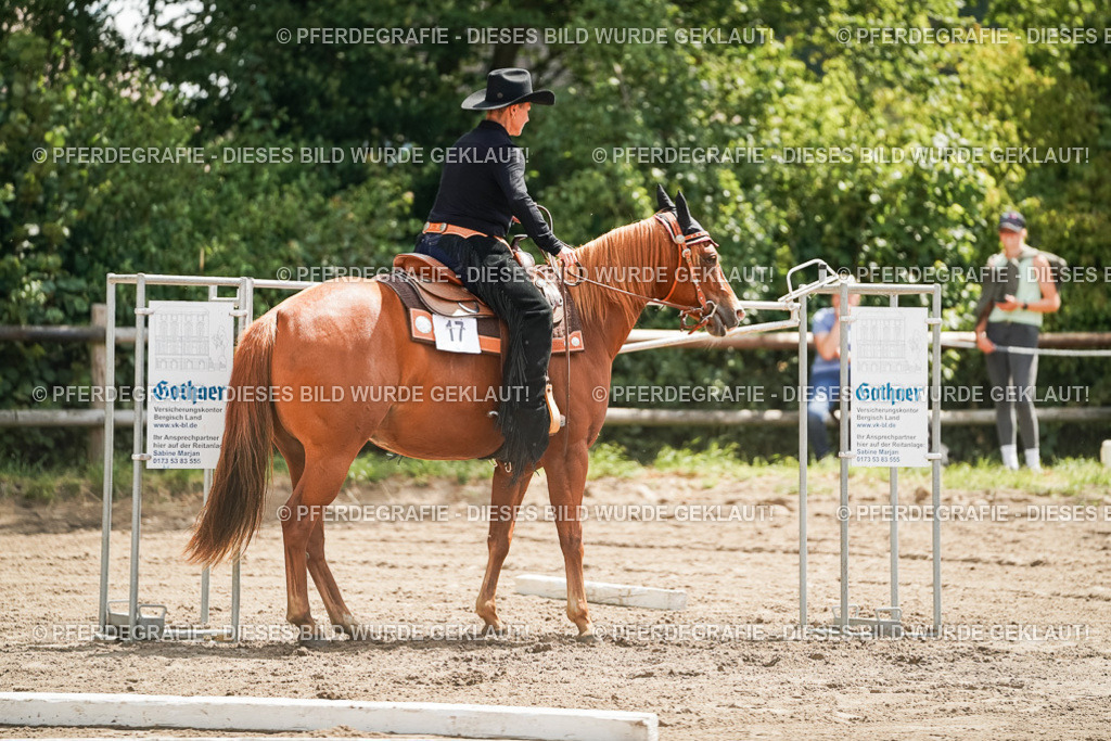 DSC06067 | Pferdegrafie