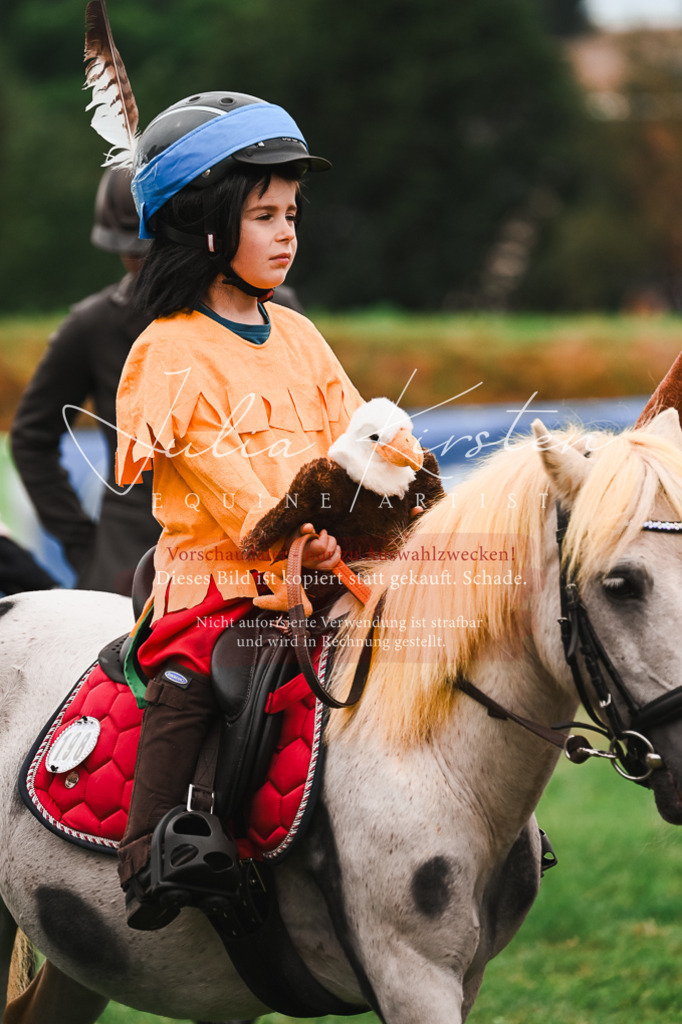 DSC_7402 | Pferde- und Turnierfotografie in Westsachsen. Pferdeportraits, Auftragszeichnungen und intuitive Kunst.