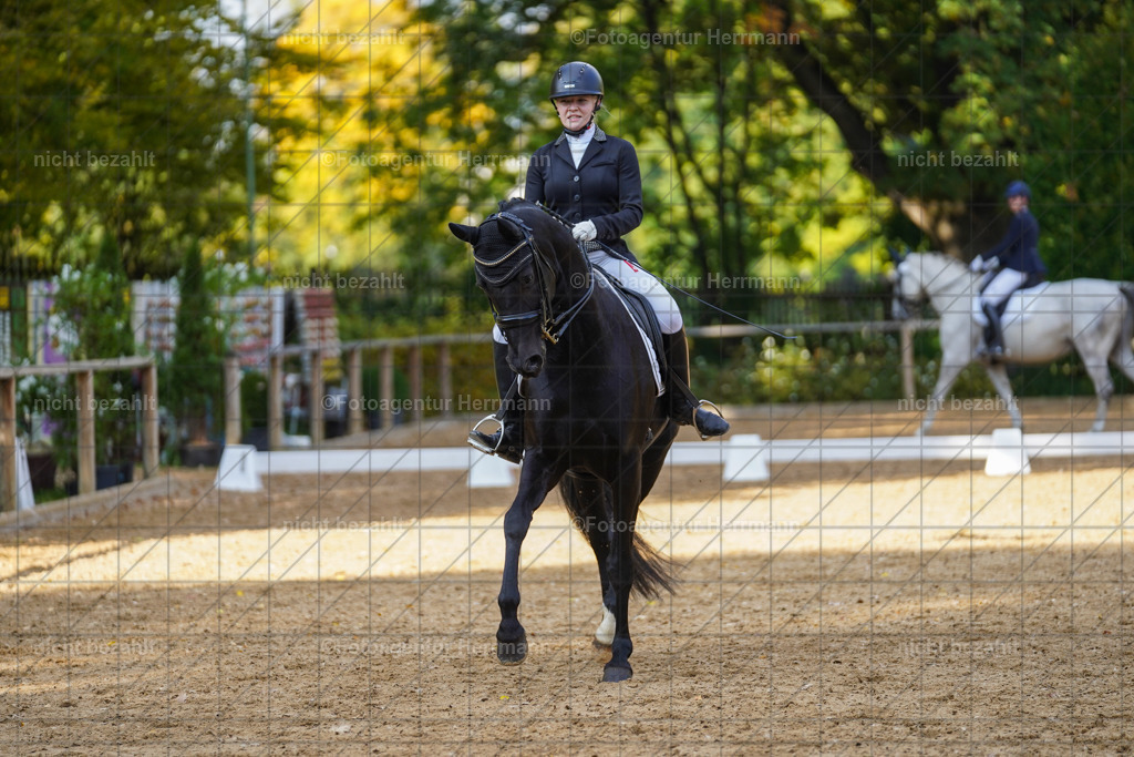 20221007-FAH00024 | Diessen am Ammersee, 2022, Dressur- und Springturnier, Reitsportbilder, Turnierfotografen Bayern, Pferdefotografen, Fotoagentur Herrmann, Turnierbilder